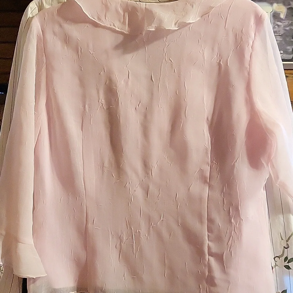 Pink Ruffled Blouse - Picture 5 of 5